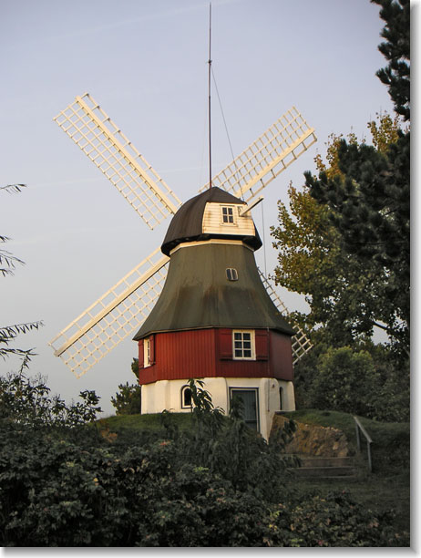 Windmühle in Süddorf
