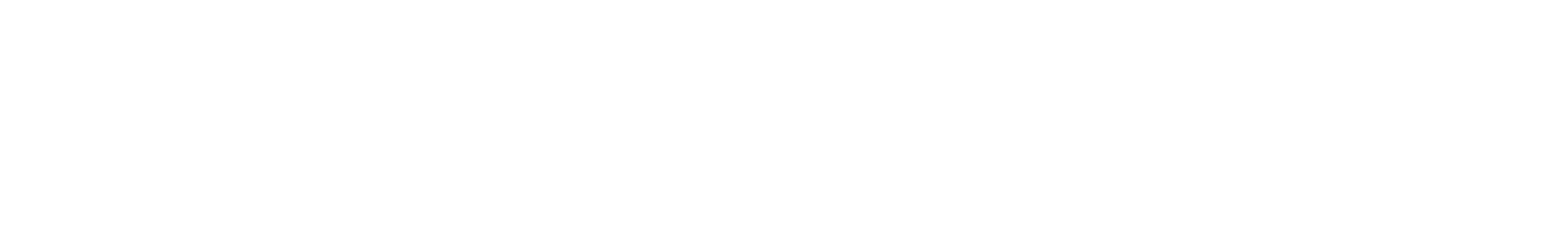 Varwig Logo